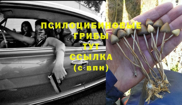 гидра Красноперекопск