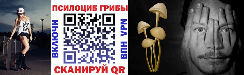 Купить  Галич  Галлюциногенные грибы прущие грибы 