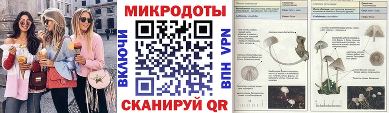 Галлюциногенные грибы Psilocybe Галич