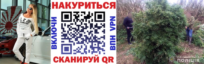 Купить закладки  Галич  Бошки Шишки тримм 